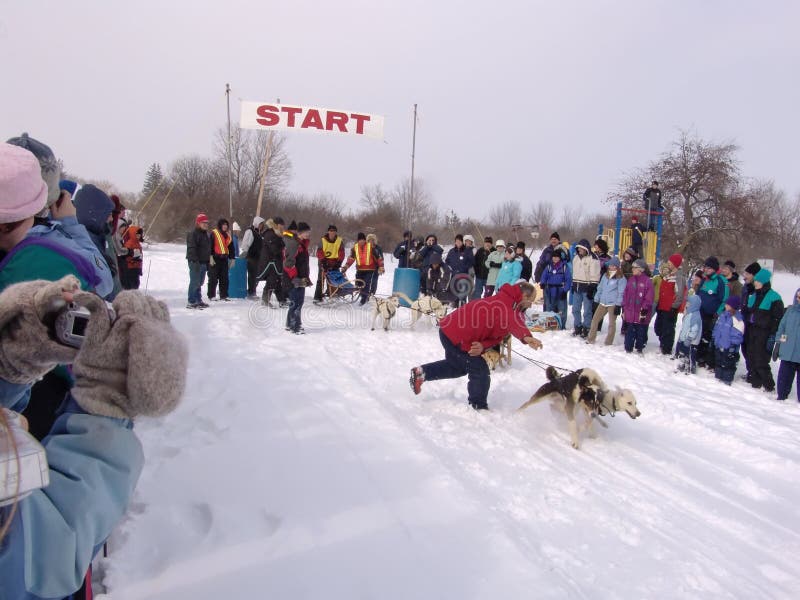 Sled Dog Racing editorial image. Image of competition 5169115