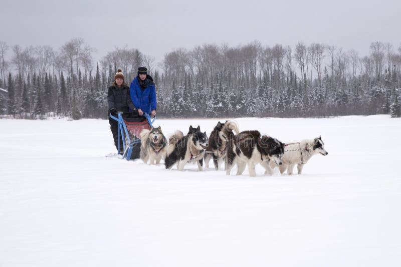 Sledding de chien de mère et de fille image stock Sledding de chien de mère et de fille image stock