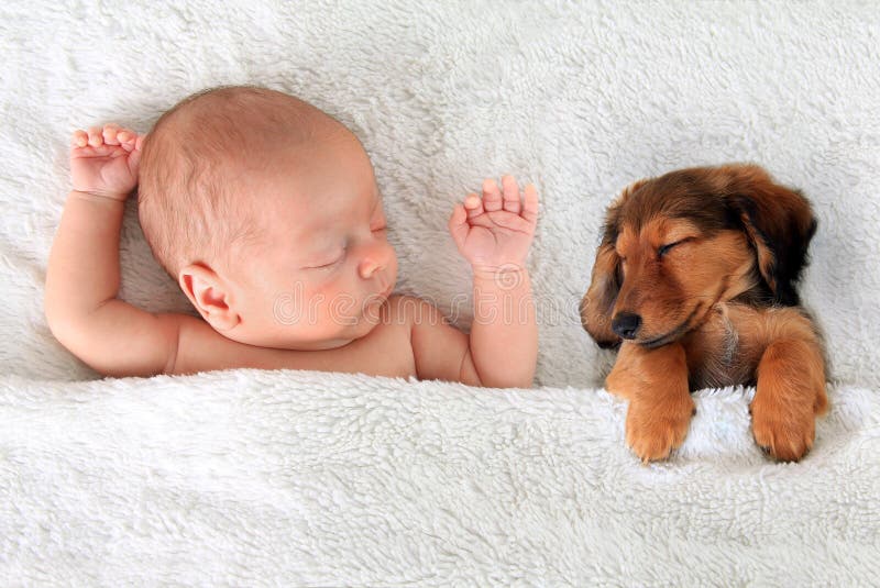 Neonato, bambino e un cucciolo di bassotto a pelo insieme.