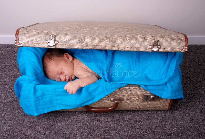 Sleeping baby in suitcase stock photo. Image of portrait 19533536