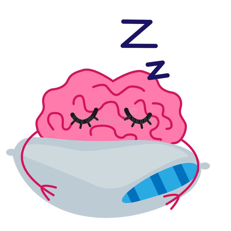 Sleeping brains