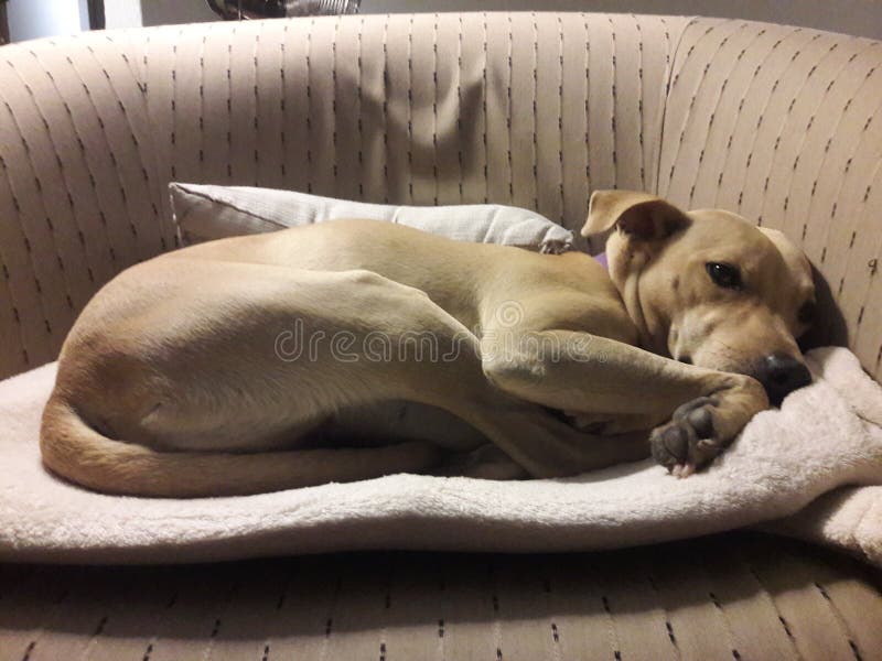 Curtis Heideman (Curtisheideman) Photographer profile