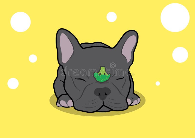 Sleeping French Bulldog and His Broccoli Vector. vector illustration