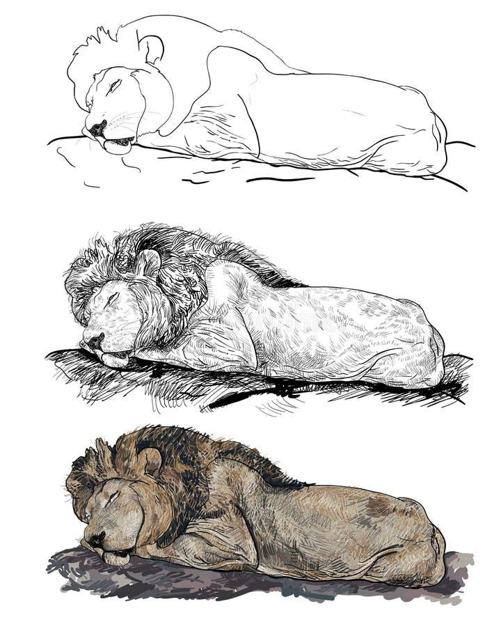 Фф sleeping lions автор litmasily