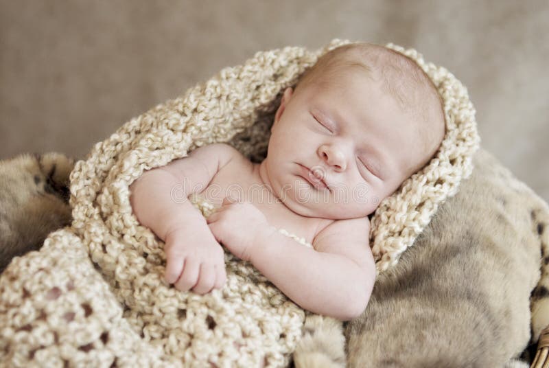 Sleeping Newborn Baby in Red Cocoon Stock Image Image of modern
