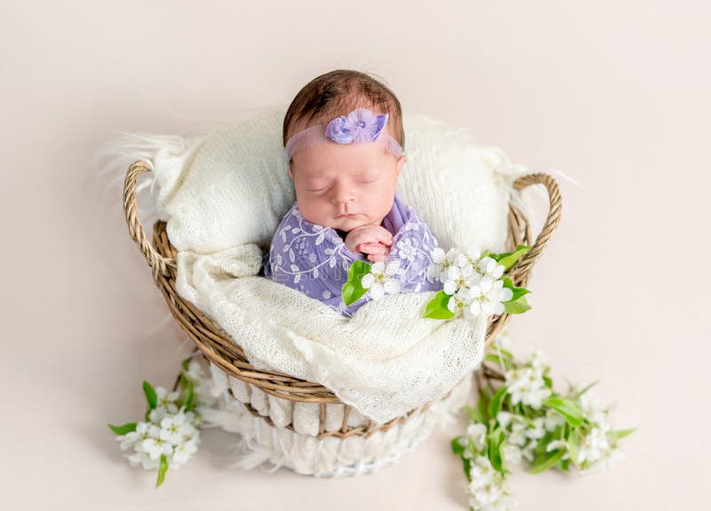 Sleeping newborn baby girl swaddled in a soft lilac blanket stock photography Sleeping newborn baby girl swaddled in a soft lilac blanket stock photography