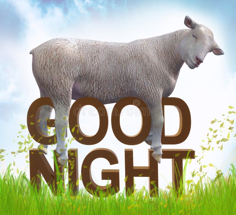 Sleeping sheep or lamb illustration