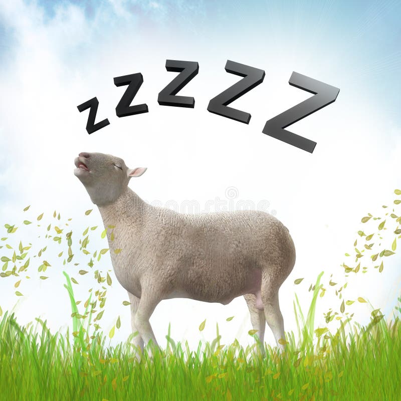 Sleeping sheep or lamb illustration