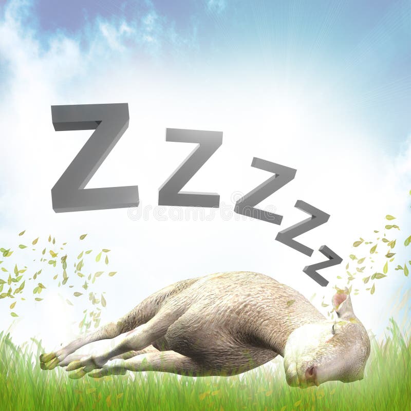 Sleeping sheep or lamb illustration