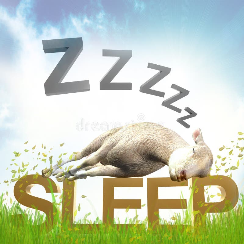 Sleeping sheep or lamb illustration