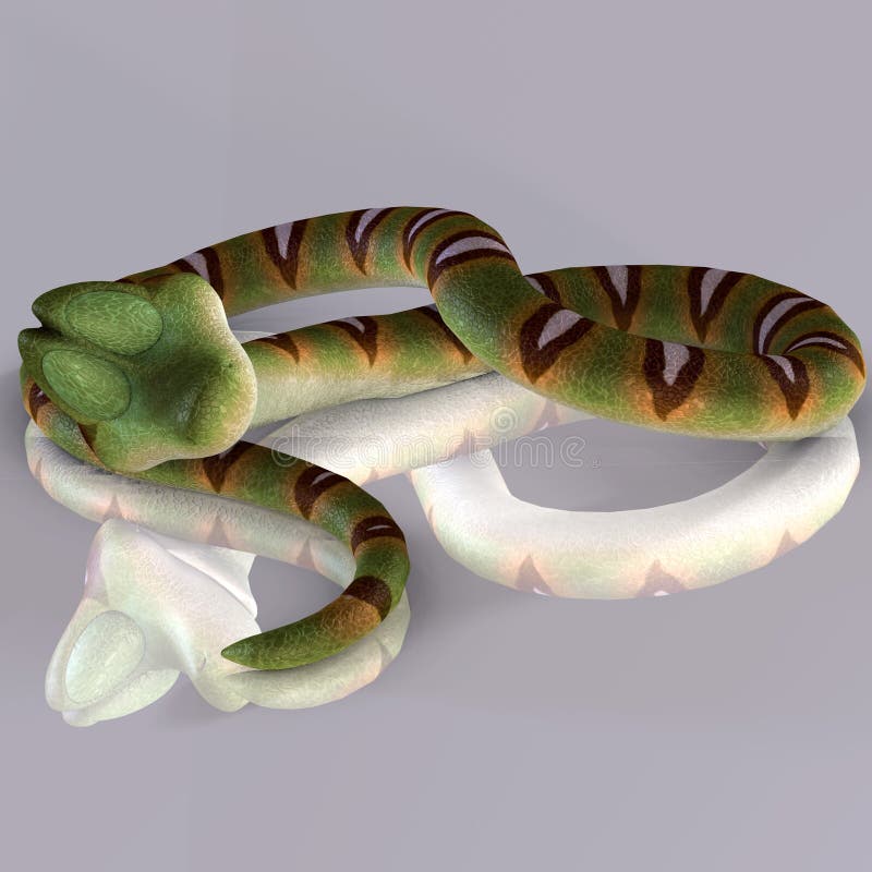 Sleeping snake stock illustration. Illustration of reflected - 3437942