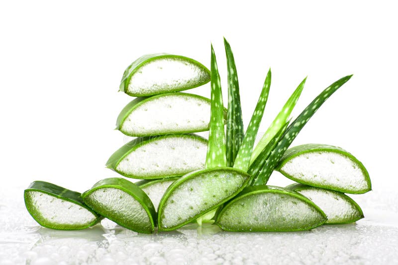 Slice Aloe Vera Very Useful Herbal Medicine for Skin and Hair Stock Photo - Image of agave, green: 155506114 Slice Aloe Vera Very Useful Herbal Medicine for Skin and Hair Stock Photo - Image of agave, green: 155506114