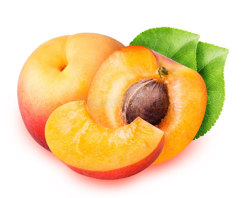 Slice of Apricot Isolated on the White Background Stock Photo Image