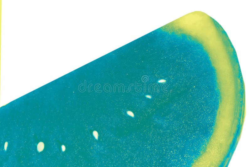 Slice of a blue watermelon