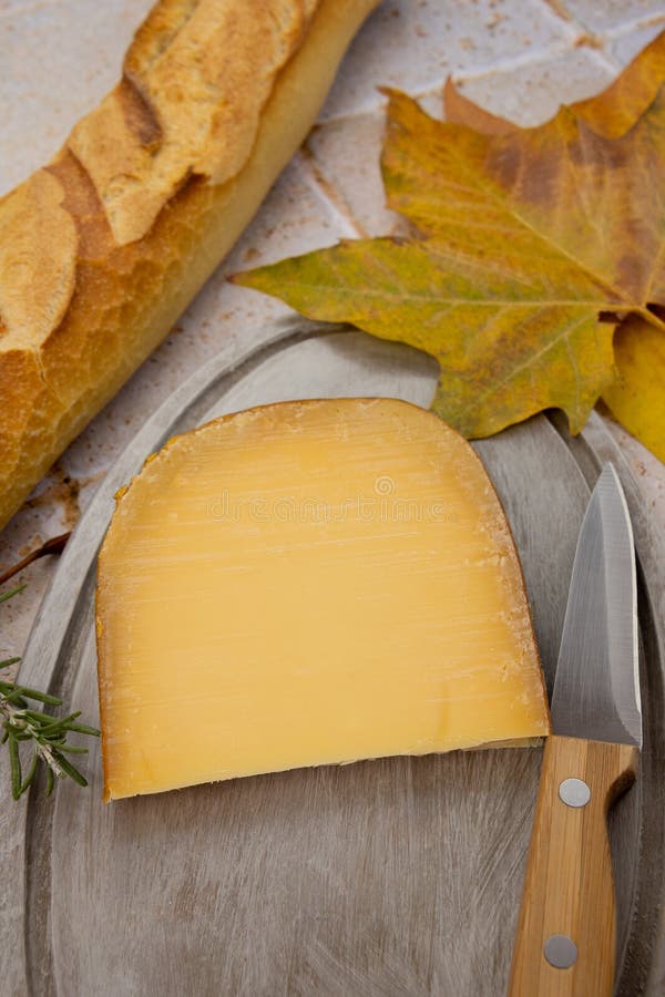Slice of Gouda Cheese on a Cutting Board Stock Photo Image of board