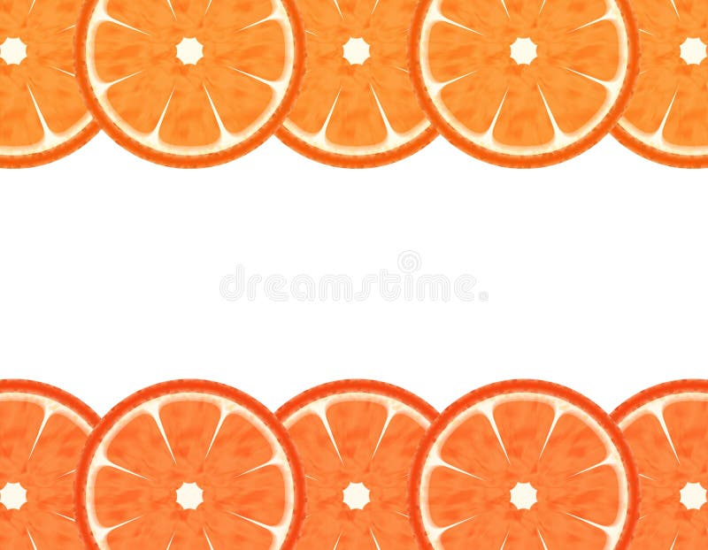 Slice grapefruit border