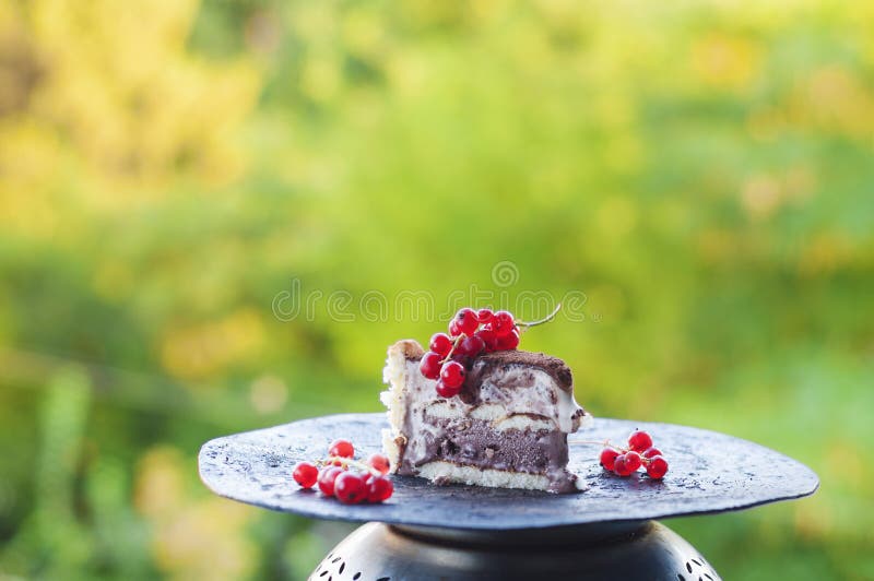 Slice of ice cream tiramisu cake with cranberries stock photography Slice of ice cream tiramisu cake with cranberries stock photography
