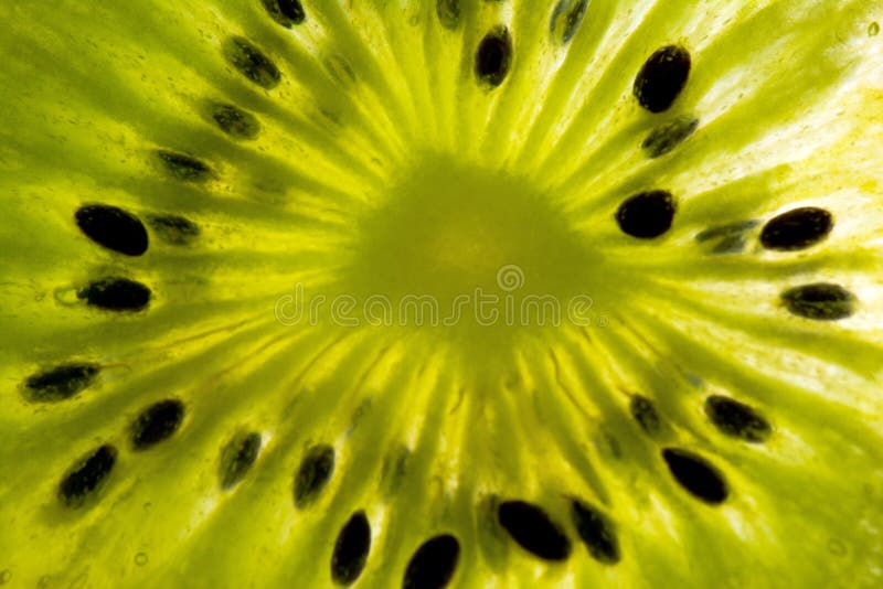 Slice of kiwi fruit on a full frame. horizontal format. kiwi slice in full frame. horizontal format, macro