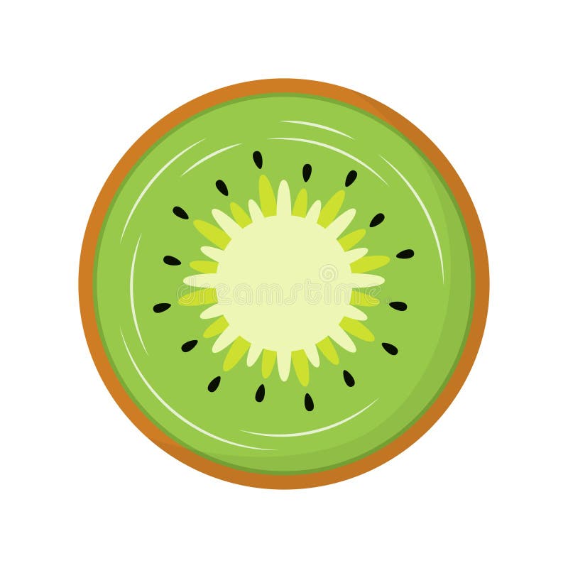 Slice of Kiwi Isolated on White Background Stock Vector Illustration