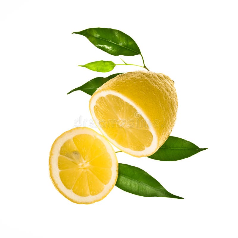 Slice of lemon with leaves