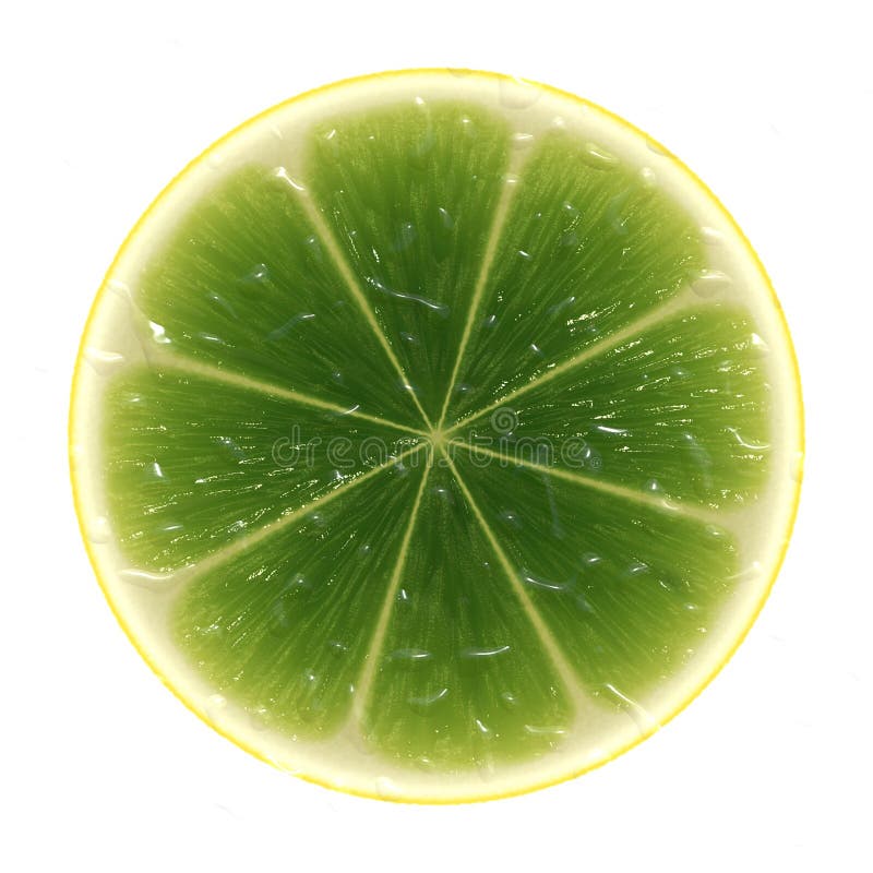 Slice of lime stock illustration. Illustration of clean - 32170449