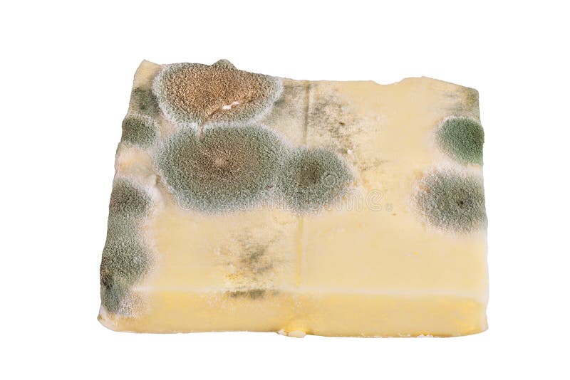 Slice of moldy cheese stock image. Image of perishable 101307615