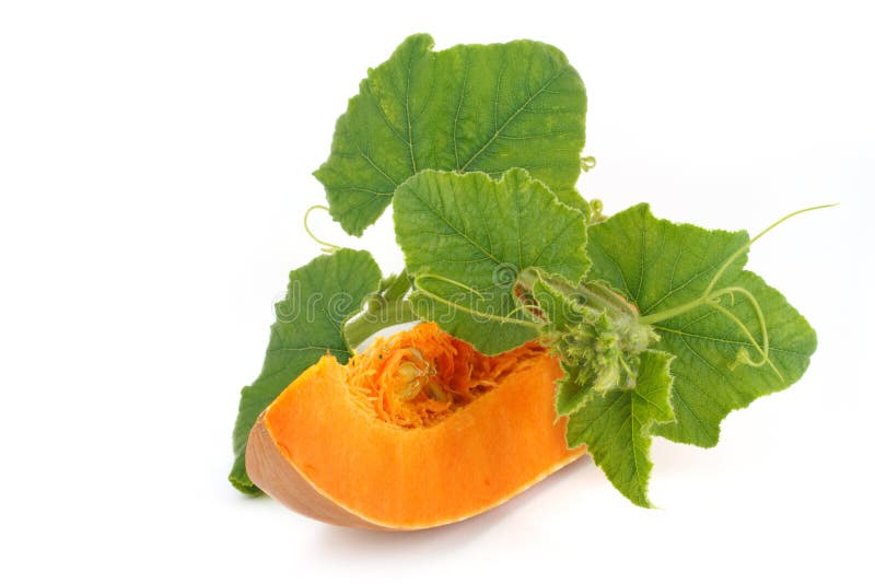 Slice of Pumpkin and Green Pumpkin Leaves Stock Image Image of