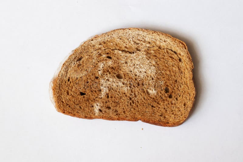 Mold rye bread stock image. Image of salt, common, flour 9580163
