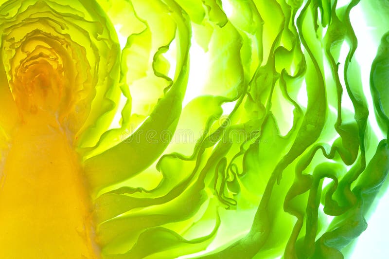 Sliced cabbage royalty free stock photo