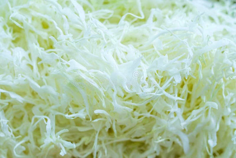 Sliced cabbage stock photography