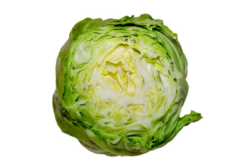 Sliced cabbage isolated on white background royalty free stock photos