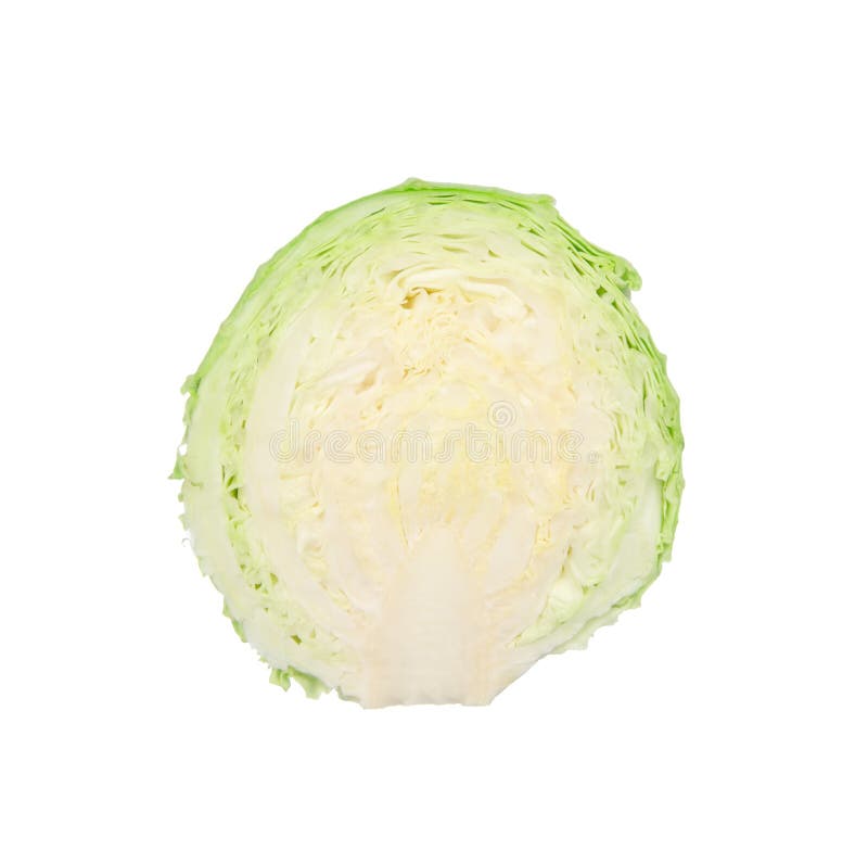 Sliced cabbage isolated on white royalty free stock photography