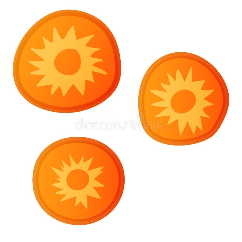 Sliced carrot stock vector. Illustration of organic, diet 20452270