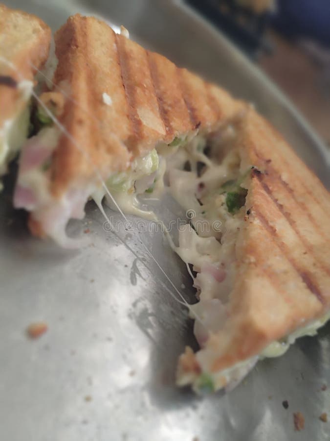 Sliced Grilled Mozzarella Cheese Sandwich in Plate Stock Photo Image