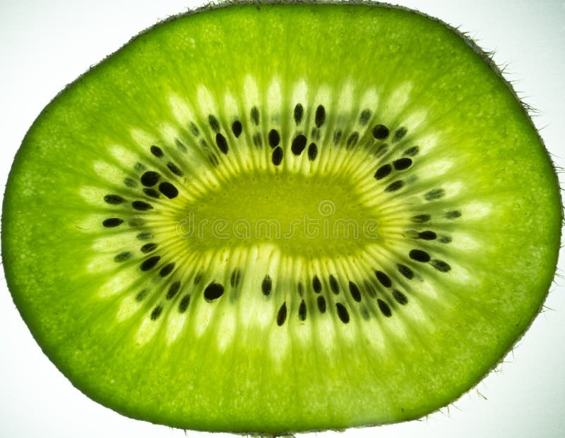 Sliced kiwi fruit stock photo. Image of fruitn, kiwi 187793654