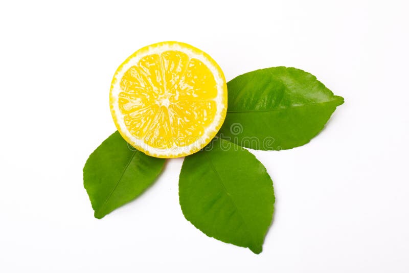 Sliced lemon and lemon leaves