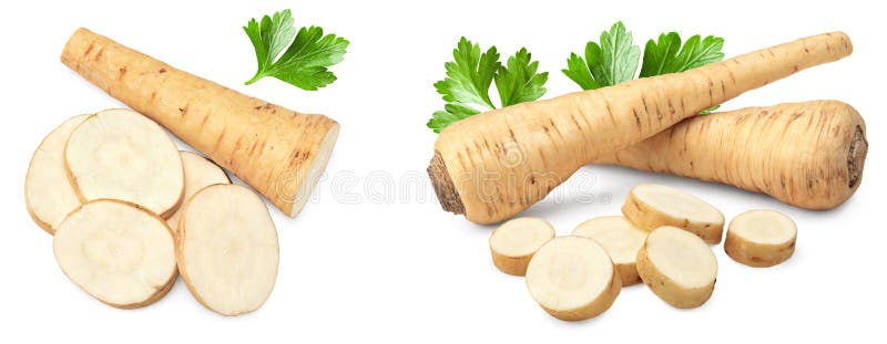 Sliced parsnip root isolated on white background. clipping path stock images