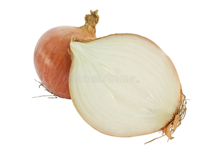 Sliced ripe onion stock image