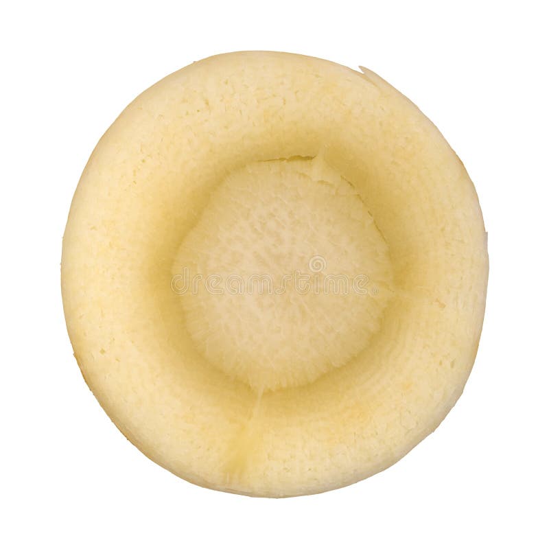 Slice of parsnip on a white background stock photo