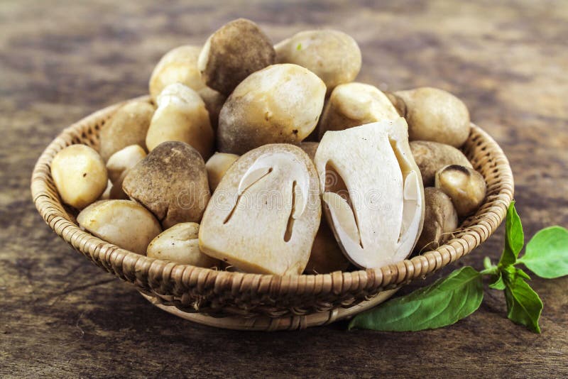 Sliced straw mushroom stock photo