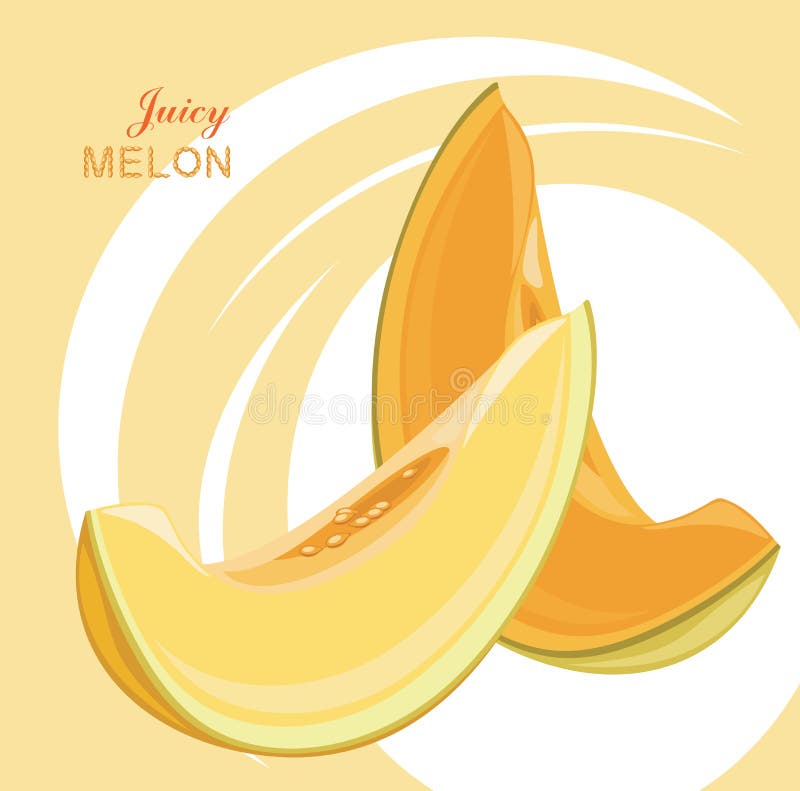 Slices of juicy melon on the abstract background vector illustration Slices of juicy melon on the abstract background vector illustration