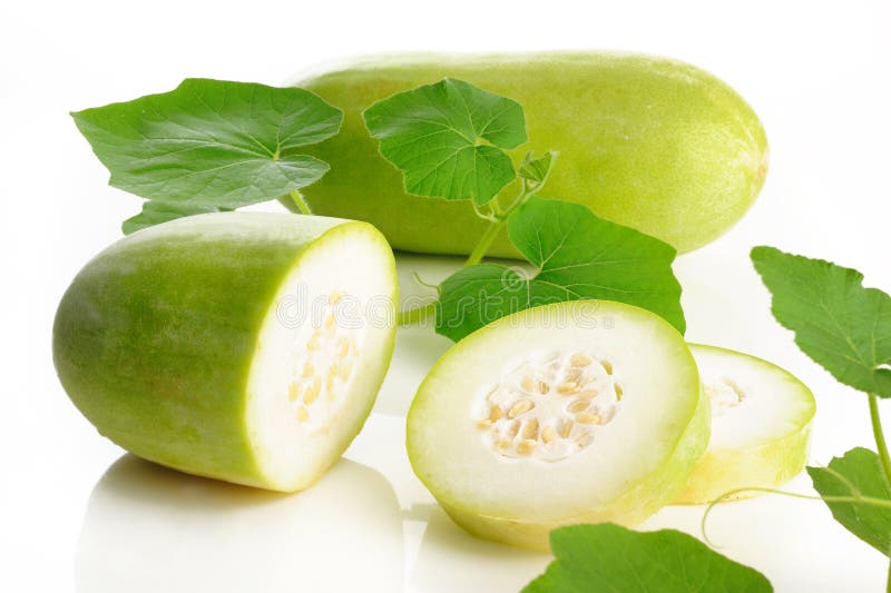 Fresh wax gourd stock photo. Image of farm, harvest, food 26019180