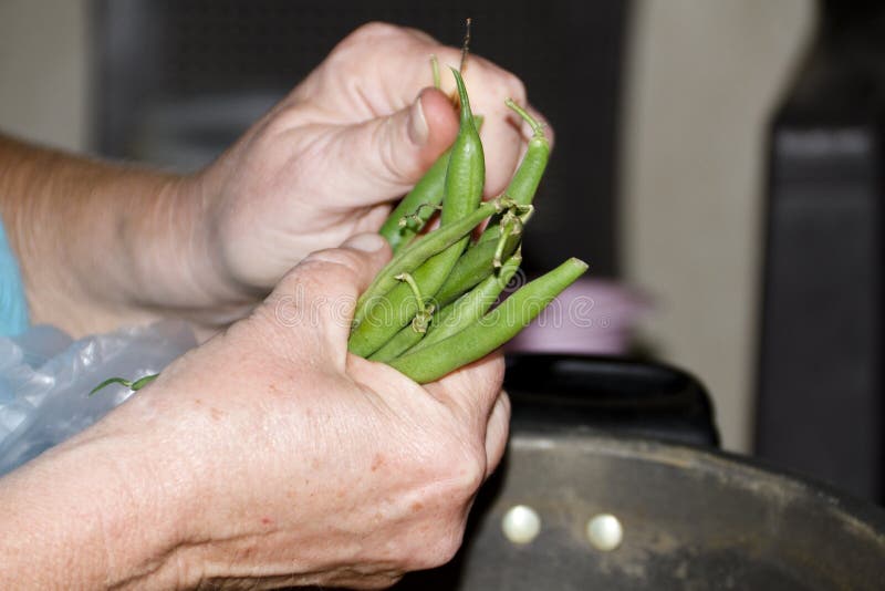 Slicing fresh Green Stick Beans stock photography