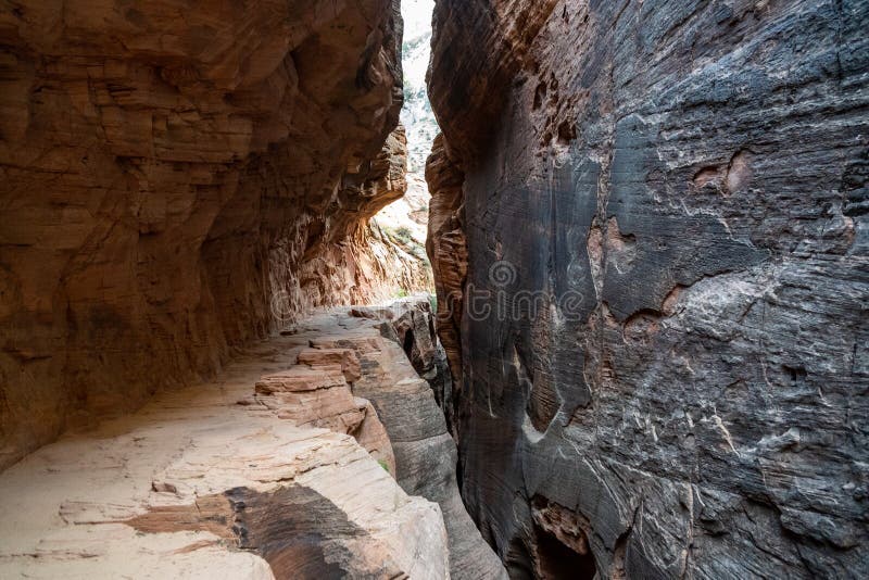 Slick sandstone canyon walls and a narrow, low-clearance walkway along the Observation Point hiking trail in Zion National Park