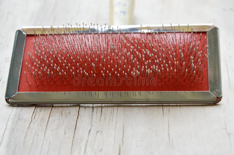 Slicker Brush Dog Cat Wooden Board Stock Photos Free & RoyaltyFree Stock Photos from Dreamstime