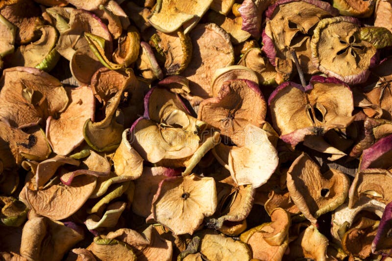 Slides Thinly Sliced Apples Drying In The Sun, The Background. Stock