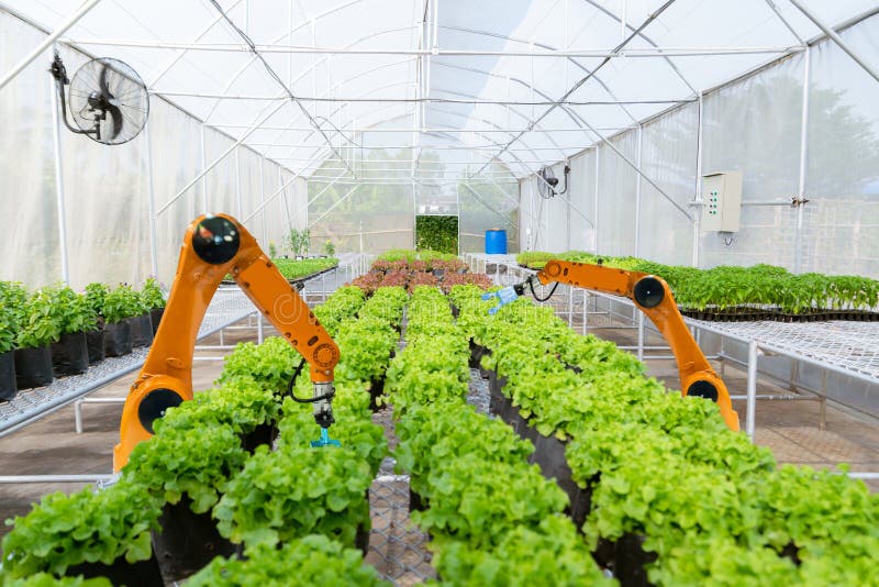 Slimme robotachtige landbouwersoogst in automatisering van de landbouw de futuristische robot om technologie te werken