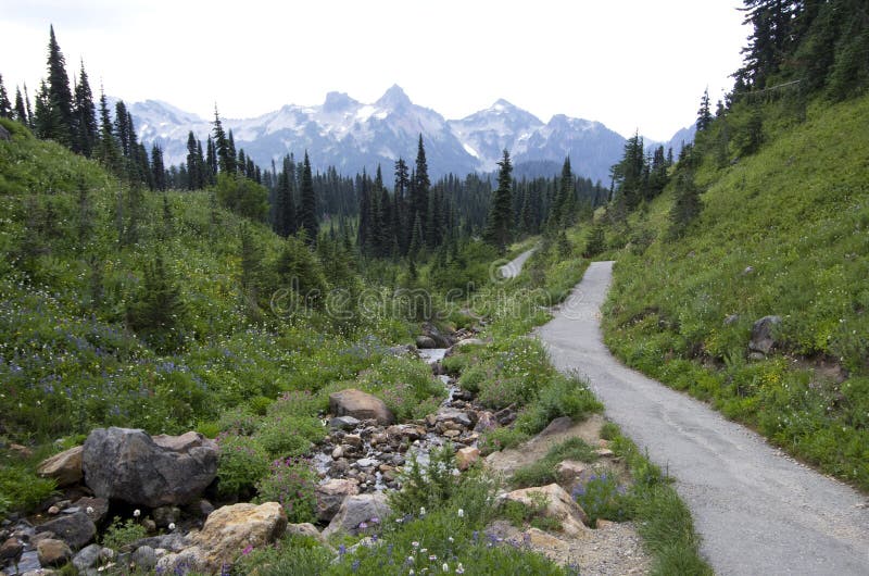 Mt. Rainier National Park is a great hiking place for all types of hikers. Mt. Rainier National Park is a great hiking place for all types of hikers.