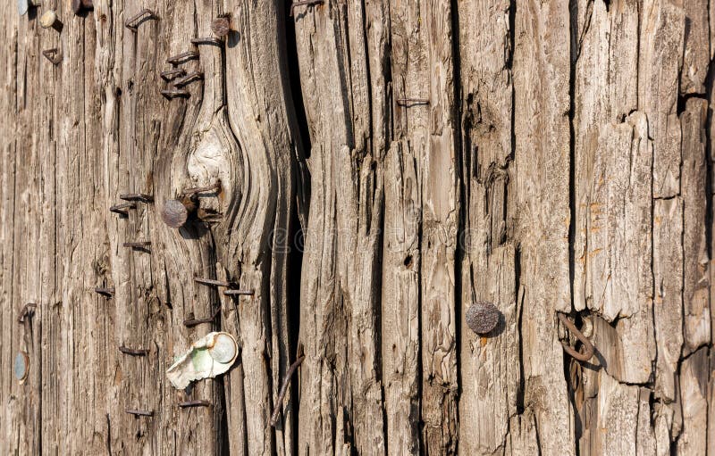 Worn Textured Telephone Pole Suitable for Background on Horizontal. Worn Textured Telephone Pole Suitable for Background on Horizontal