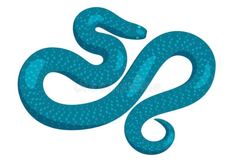 Slither Blue Python Snake Top View Vector Icon Stock Vector - Illustration of animal, ectothermic: 92961991 Slither Blue Python Snake Top View Vector Icon Stock Vector - Illustration of animal, ectothermic: 92961991